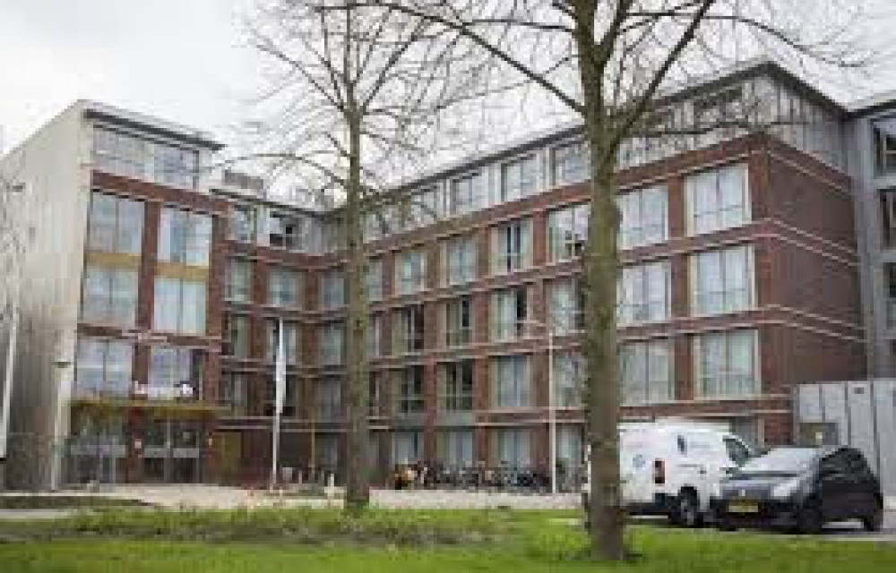 Wandelmaatje gevraagd